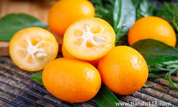 長沙有哪些特產(chǎn)(長沙特產(chǎn)排行榜前十名)(圖2) 湖南省長沙市十大特產(chǎn)有哪些