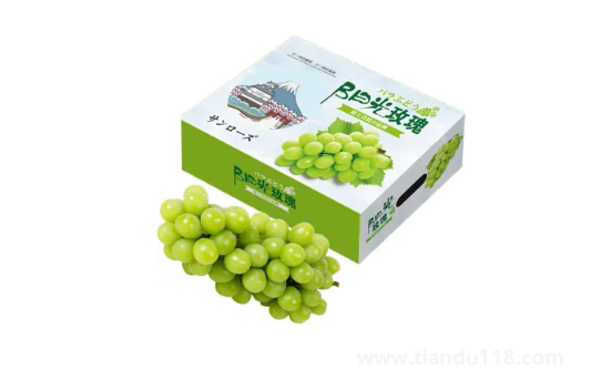 陽(yáng)光玫瑰葡萄和晴王葡萄哪個(gè)價(jià)格貴（晴王葡萄多少錢(qián)一斤）