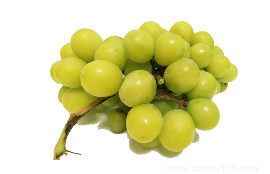 陽(yáng)光玫瑰葡萄和晴王葡萄哪個(gè)價(jià)格貴3