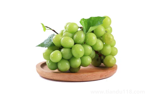 陽光玫瑰葡萄是熱性還是涼性2