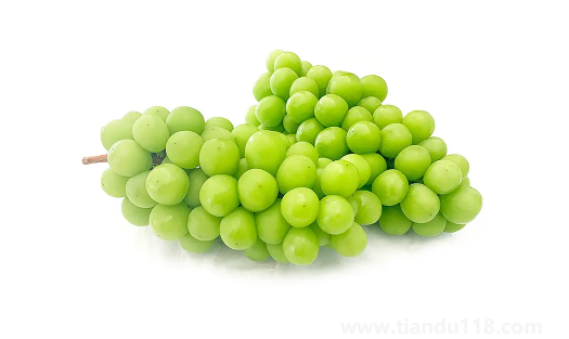 陽(yáng)光玫瑰葡萄是熱性還是涼性（陽(yáng)光玫瑰葡萄多少錢(qián)一斤）