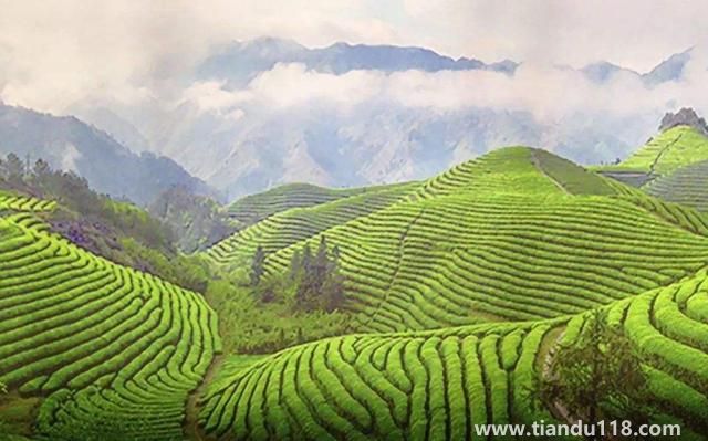 句容有哪些特產(chǎn)(句容特產(chǎn)排行榜)(圖2) 句容有哪些特產(chǎn)(句容特產(chǎn)排行榜)(圖2)