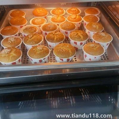 雞蛋糕的做法(雞蛋糕怎么做)(圖8) 雞蛋糕的做法(雞蛋糕怎么做)(圖8)