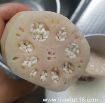 糯米藕為何煮不爛(糯米藕的功效與作用)(圖4) 糯米藕為何煮不爛4