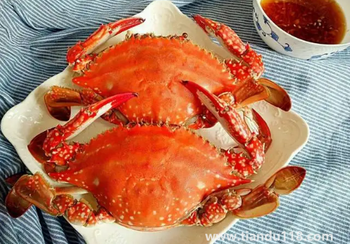 ?梭子蟹蒸多久最佳時(shí)間(清蒸梭子蟹的做法)(圖2) 梭子蟹蒸多久最佳時(shí)間2