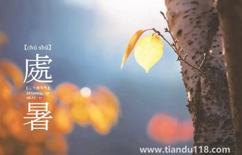 2022處暑之后天氣會(huì)涼快一些嗎（處暑吃什么食物養(yǎng)生）