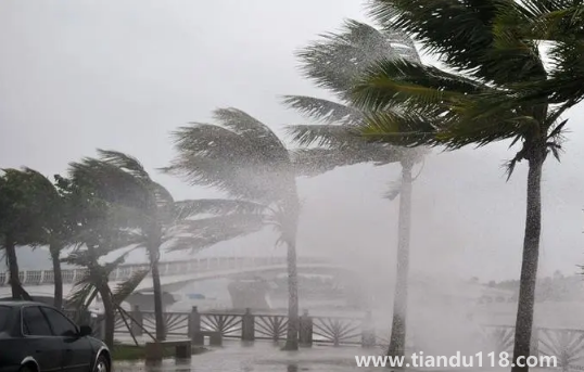 2022年為什么臺風這么少（臺風來了怎么辦）