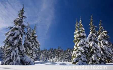 2022年到2023年冬天冷不冷(2023年冬天會(huì)比2022年冷嗎)(圖1) 2022年到2023年冬天冷不冷1