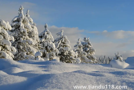 2022年到2023年冬天冷不冷(2023年冬天會(huì)比2022年冷嗎)(圖2) 2022年到2023年冬天冷不冷2