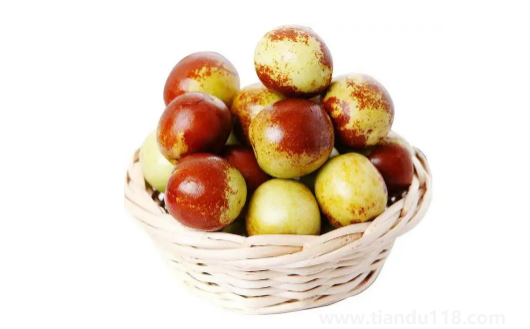 冬棗怎么吃簡(jiǎn)單好吃(冬棗可以放幾天)(圖2) 冬棗怎么吃簡(jiǎn)單好吃2