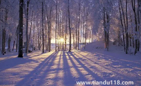 2022到2023年冬天會(huì)是暖冬嗎(2022年什么時(shí)候入冬)(圖3) 2022到2023年冬天會(huì)是暖冬嗎3