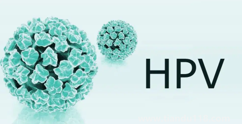 支付寶九價(jià)疫苗預(yù)約要多久(九價(jià)疫苗三針一共多少錢(qián))(圖3) 支付寶九價(jià)疫苗預(yù)約要多久3