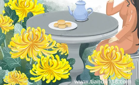 今年重陽節(jié)去哪方向登高好2