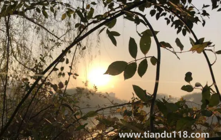 2022年重陽節(jié)天氣冷嗎(重陽節(jié)溫度大概多少度)(圖3) 2022年重陽節(jié)天氣冷嗎3