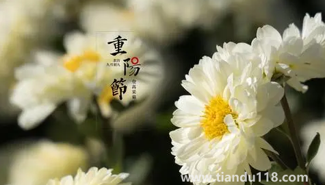 2022年學(xué)校重陽(yáng)節(jié)什么時(shí)候開(kāi)始放假（2022年重陽(yáng)節(jié)是公歷幾月幾日）