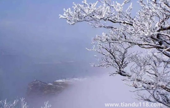 2022數(shù)九從哪一天開(kāi)始到哪一天結(jié)束(數(shù)九要注意什么)(圖2) 2022數(shù)九從哪一天開(kāi)始到哪一天結(jié)束2