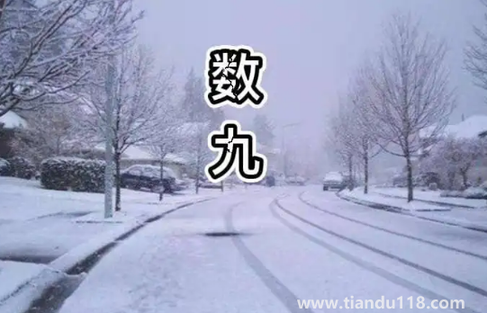 2022數(shù)九從哪一天開(kāi)始到哪一天結(jié)束(數(shù)九要注意什么)(圖3) 2022數(shù)九從哪一天開(kāi)始到哪一天結(jié)束3