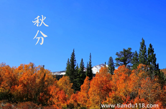 2022年秋分節(jié)氣在南方熱不熱1