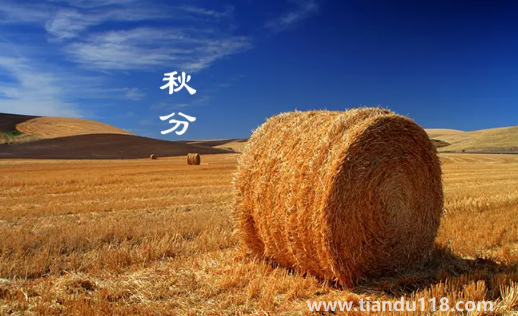 2022年秋分是農(nóng)歷幾月幾號幾點(diǎn)幾分幾秒1