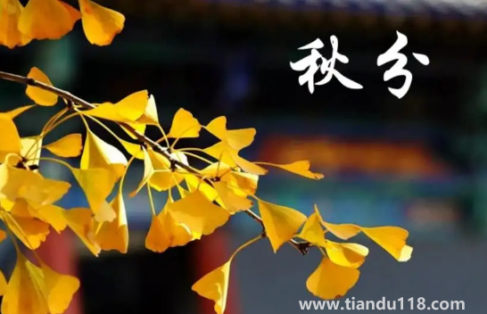 2022年秋分是農(nóng)歷幾月幾號幾點(diǎn)幾分幾秒2