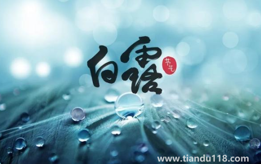 2022白露當天出生好還是白露后出生好(白露生孩子要注意什么)(圖3) 2022白露當天出生好還是白露后出生好3