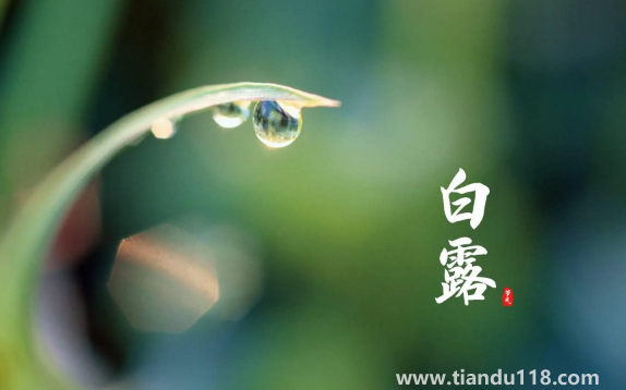 2022年白露在什么時間幾點(diǎn)幾分幾秒鐘(白露怎么養(yǎng)生)(圖1) 2022年白露在什么時間幾點(diǎn)幾分幾秒鐘1