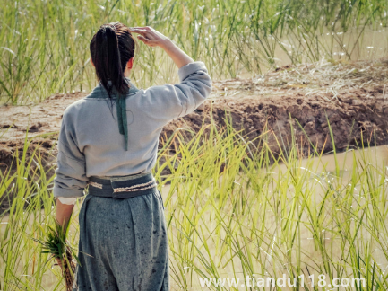 覆流年男主有沒有重生(覆流年主要講的什么)(圖2) 覆流年男主有沒有重生2