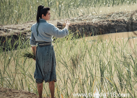 覆流年男主有沒有重生(覆流年主要講的什么)(圖3) 覆流年男主有沒有重生3