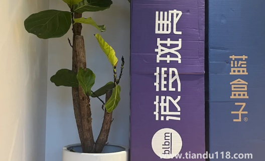 藍盒子和菠蘿斑馬哪個好（藍盒子和菠蘿斑馬床墊的優(yōu)勢）