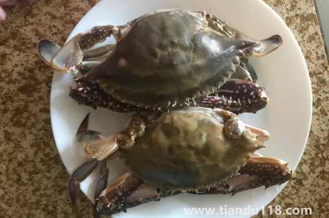 梭子蟹蟹黃在外面正常嗎(梭子蟹的蟹黃在外面能吃嗎)(圖3) 梭子蟹蟹黃在外面正常嗎3