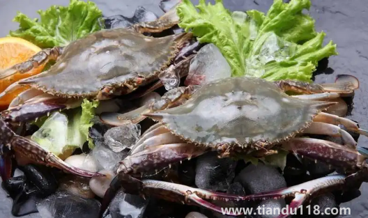 梭子蟹半斤一只大不大(一只半斤的梭子蟹能蒸多久)(圖2) 梭子蟹半斤一只大不大2