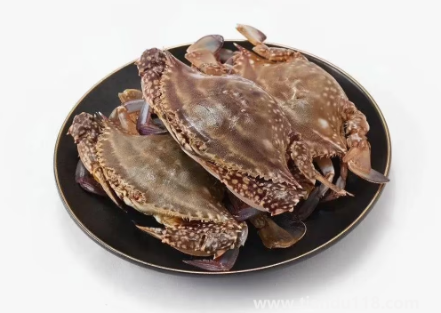 網(wǎng)上買梭子蟹是活的還是死的(梭子蟹寄過(guò)來(lái)死了能吃嗎)(圖2) 網(wǎng)上買梭子蟹是活的還是死的2