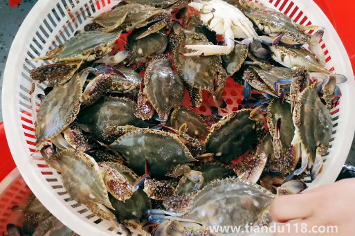 網上買梭子蟹是活的還是死的（梭子蟹寄過來死了能吃嗎）