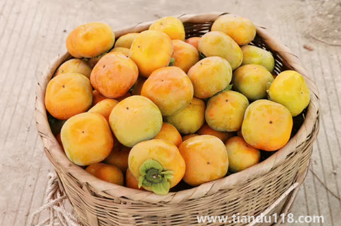 脆柿子里面有黑斑可以吃嗎（脆柿子怎么看壞沒(méi)壞）