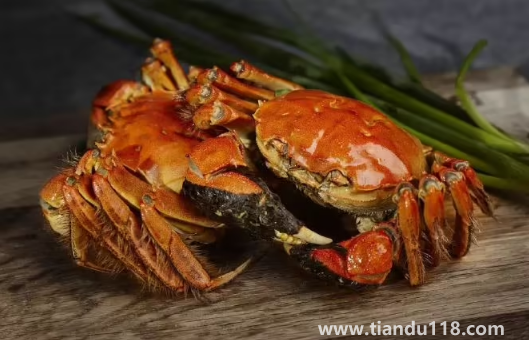 大閘蟹可以帶上高鐵動車嗎(吃大閘蟹的注意事項)(圖2) 大閘蟹可以帶上高鐵動車嗎2