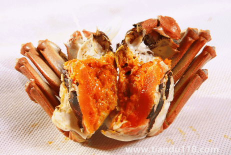 清水煮螃蟹煮5分鐘能吃嗎(螃蟹怎么煮得更快)(圖2) 清水煮螃蟹煮5分鐘能吃嗎2