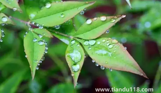 2022深圳10月份雨水多嗎(深圳一年中雨水最多的是哪些月份)(圖3) 2022深圳10月份雨水多嗎3