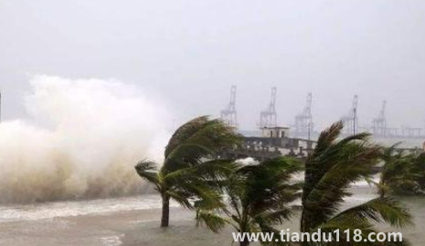 2022年臺風梅花會影響浙江嗎(如何預防臺風天)(圖3) 2022年臺風梅花會影響浙江嗎3