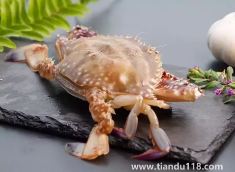 青蟹和梭子蟹哪個(gè)貴2