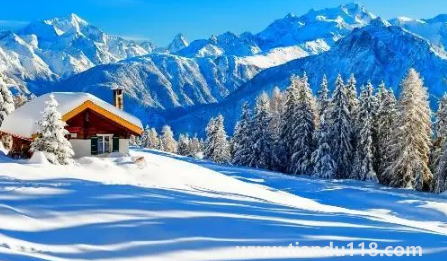 2022上海幾月份進(jìn)入冬季(上海冬季溫度是多少)(圖2) 2022上海幾月份進(jìn)入冬季2