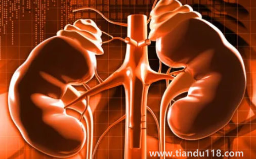 止痛藥吃多了會(huì)導(dǎo)致腎衰竭嗎(腎衰竭怎么引起來的)(圖3) 止痛藥吃多了會(huì)導(dǎo)致腎衰竭嗎3