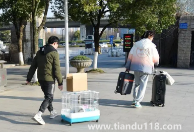 2023年春節(jié)假期會延長嗎（2023春節(jié)什么時候放假）