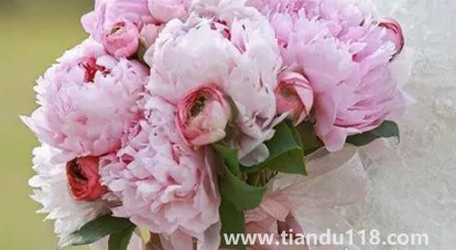 男方娶親當(dāng)天手捧花必須要準(zhǔn)備嗎(男方娶親當(dāng)天要注意什么)(圖2) 男方娶親當(dāng)天手捧花必須要準(zhǔn)備嗎2