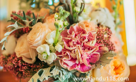 結(jié)婚不過百天不能送親(剛結(jié)婚多久可以送親)(圖2) 結(jié)婚不過百天不能送親2