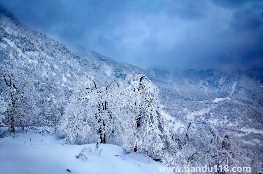 2022至2023年有特大寒潮嗎(寒潮來襲的注意事項(xiàng))(圖1) 2022至2023年有特大寒潮嗎1