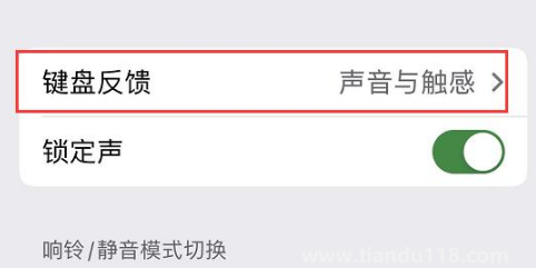 ios16鍵盤(pán)震動(dòng)怎么開(kāi)(為什么只有iPhone14pro系列支持息屏顯示)(圖3) ios16鍵盤(pán)震動(dòng)怎么開(kāi)3