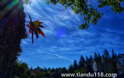 云南11月份溫度一般是多少（十一月份的云南應(yīng)該帶什么衣服）