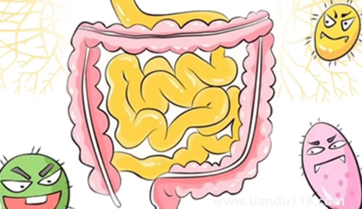 只需一片姜排出4斤宿便真的假的(肚子有宿便自己可以摸出來嗎)(圖1) 只需一片姜排出4斤宿便真的假的1