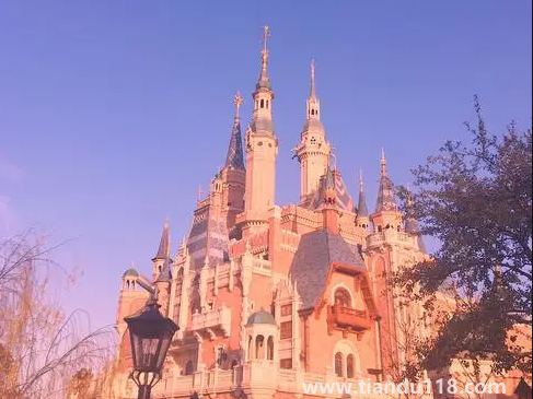 2022年上海迪士尼樂園萬圣節(jié)有活動(dòng)嗎(迪士尼萬圣節(jié)有哪些活動(dòng))(圖3) 2022年上海迪士尼樂園萬圣節(jié)有活動(dòng)嗎3