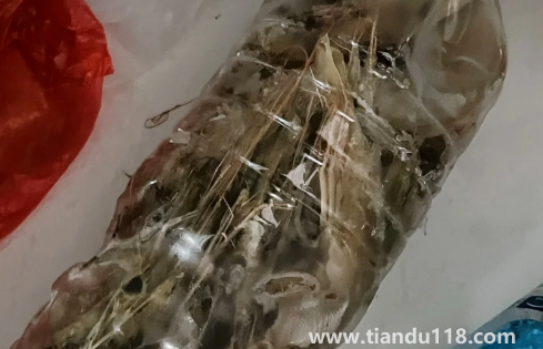 活蝦可以放礦泉水瓶保存嗎(蝦要怎么正確放冰箱速凍)(圖2) 活蝦可以放礦泉水瓶保存嗎2